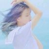台湾网友50297
