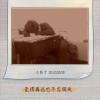 湖北网友55024