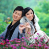 北京网友36663
