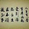 澳门网友79319