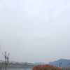 河南网友60623