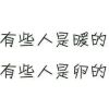 浙江网友26128