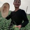 河南网友64834