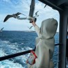 澳门网友13137