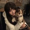 北京网友13555