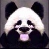 山东网友27759