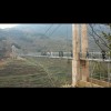 福建网友13012