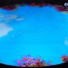 宁夏网友12996