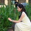 山东网友35479