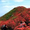 吉林网友75604