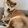 辽宁网友86796