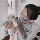 QQ头像
