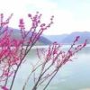 上海网友38901