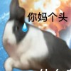 山东网友45265