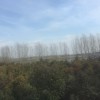 安徽网友83367
