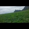 北京网友94598
