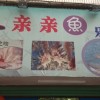湖北网友34702
