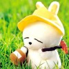 内蒙古网友26474