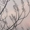 yf123的头像-无忧免费游戏网