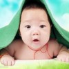 湖南网友51339