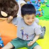 甘肃网友22538