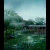 澳门网友90028