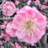 广东网友13466