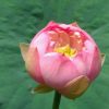 山西网友67713
