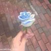 湖南网友58311