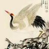 辽宁网友61634