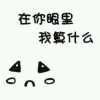上海网友40520