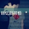 新疆网友81510