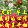 贵州网友63831