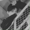 黑龙江网友30394