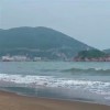 山东网友24370