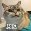 江苏网友64780
