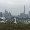 湖南网友96311