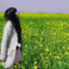 宁夏网友66788