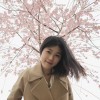 树乐静美花8