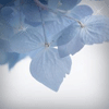 陕西网友50770
