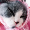 容j雨美狂j