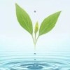 青海网友47809