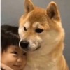 nbbjnb