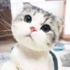 山西网友83754