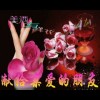 吉林网友41901