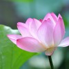 四川网友67465