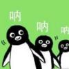 评论头像