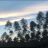 浙江网友36550