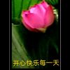 西藏网友92942