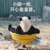 澳门网友62313